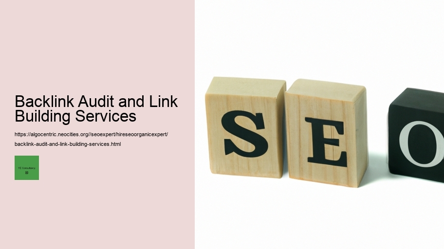 Backlink Audit and Link Building Services