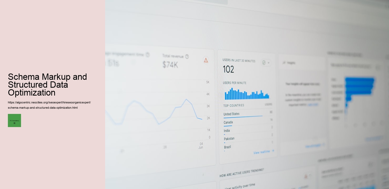 Schema Markup and Structured Data Optimization