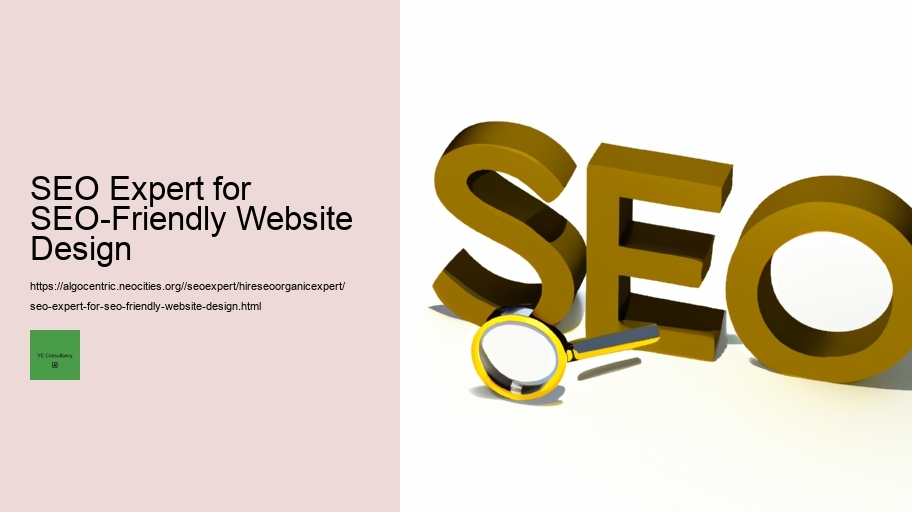 SEO Expert for SEO-Friendly Website Design